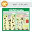      (TM-12-SILVER)